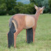 Wildcrete Duiker